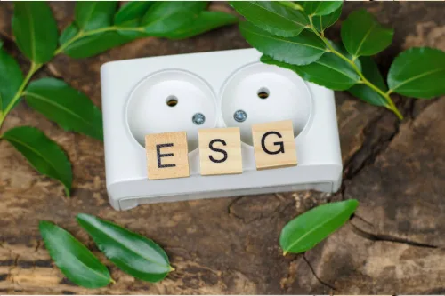 ESG Fundamental SSCX International