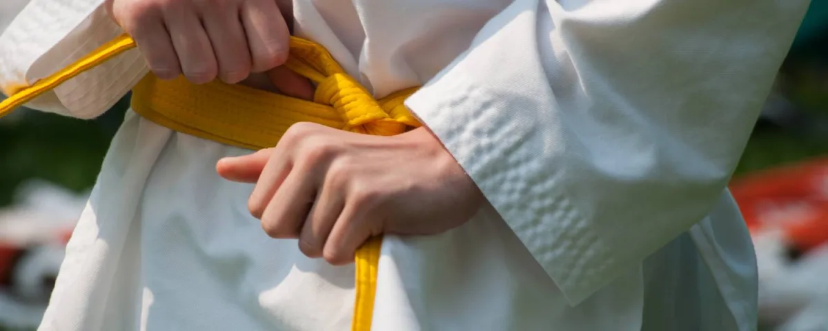 Yellow Belt Certification SSCX International
